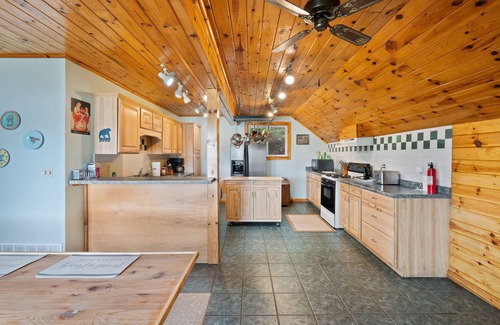 Reed City Cabin | Lakeside Retreat | Hot Tub, Kayak, Arcade, Pontoon