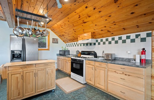 Reed City Cabin | Lakeside Retreat | Hot Tub, Kayak, Arcade, Pontoon
