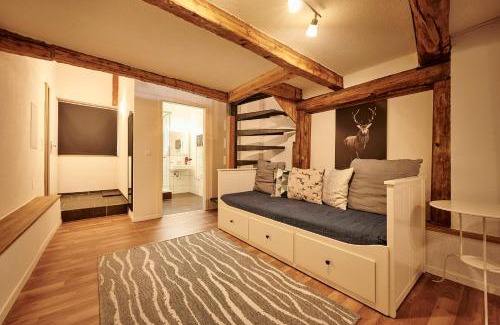 Brienz Ski Chalet | Lakeside Tiny House Brienz