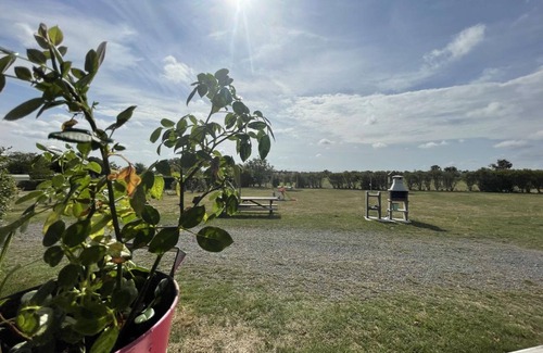 Pierrefitte-sur-Loire Cottage | Lakeview Chalets: Terraces, BBQ, Swimming, Pedal Boats, Fishing, Pet-Friendly, All-Inclusive Amenities