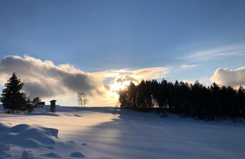 Schoellnach Hotel | Landgut Stetter