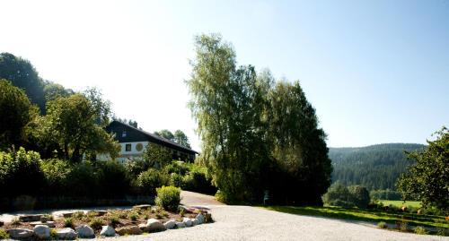 Grafling Hotel | Landhotel Bayerwald