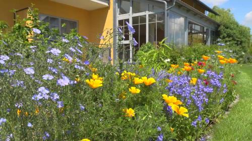 Kirchham Hotel | Landhotel Larenzen