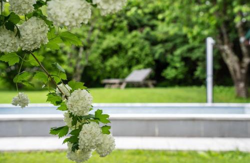 Krottendorf Apartment | Landvilla Modersnhof mit Pool