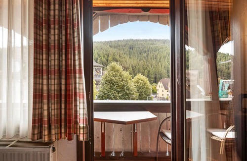 Tennenbronn Apartment | Large Double Room with Shared Garden, Balcony and Wi-Fi