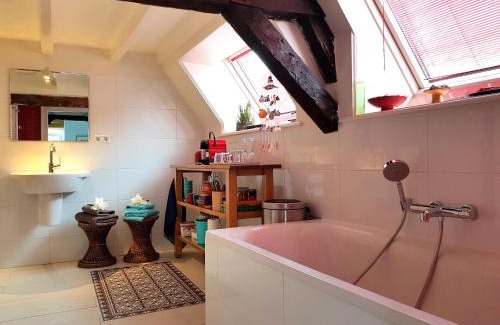 Utrecht City Center Apartment | Large Historical Apartment & Canal Terrace