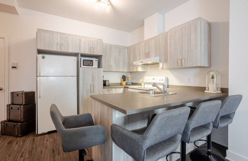 Griffintown Apartment | Large Suite in Downtown Montreal