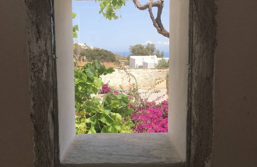 Apollonia House | Large village house in olive grove for 13 people