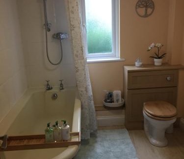 Sticklepath House | Larksfield Loft