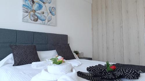 Larnaca Apartment | Larvella Estia Luxury Suites