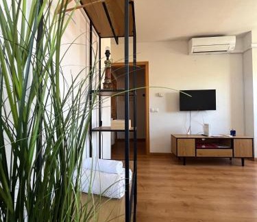 Ciudad Real Apartment | Las cerezas
