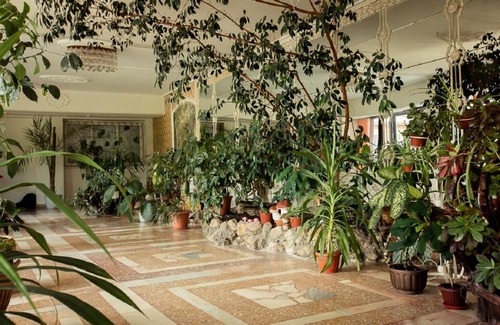 Penza Hotel | Lastochka Hotel