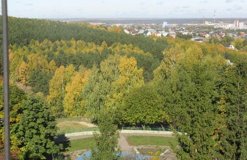 Penza Hotel | Lastochka Hotel
