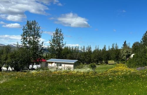 Adaldalur House | Laugar Guesthouse