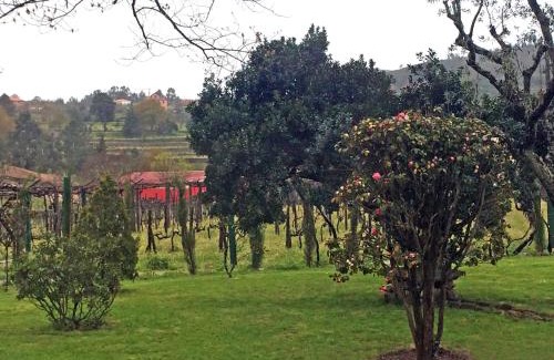 Ancede House | Lavandeira Douro Nature & Wellness