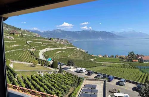 Rivaz Apartment | Lavaux nice place in Swiss French part
