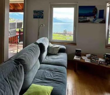 Rivaz Apartment | Lavaux nice place in Swiss French part