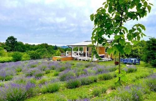 Kisapati House | Lavender Eco lodge át lake Balaton