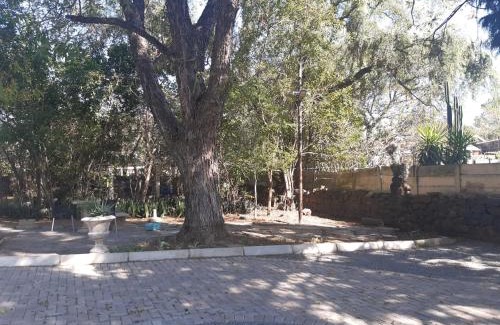 Ladysmith Bed & Breakfast | Lavender Lane