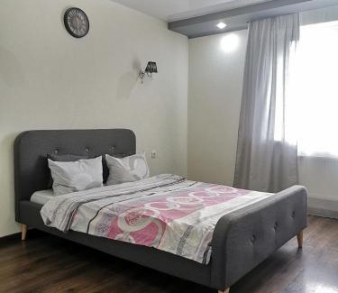 Zarichnyi District Apartment | Lavina apartments