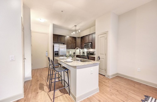 Astrodome Apartment | Lavish 1BR apartment with AC, fitness room, WiFi, Pet-friendly