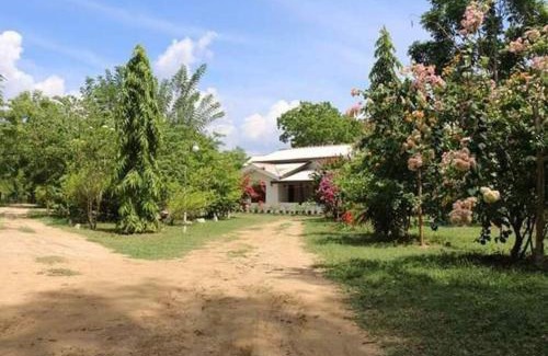 Weerawila Hotel | Lavish Eco Jungle