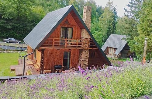 Pieszyce Ski Chalet | Lawendowe wzgórze