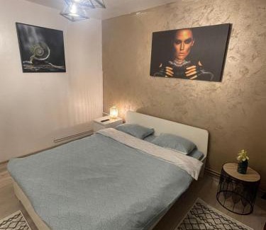 Ploiesti Apartment | LC APARTMENTS Ploiesti 127