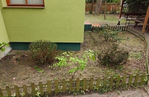 Miedzychod House | Leśna Ostoja w centrum Puszczy Nadnoteckiej otoczona 3 jeziorami