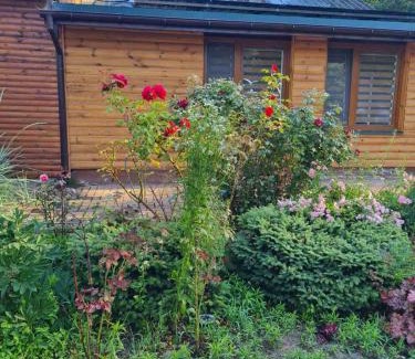 Kamionka Resort | Leśna Polana- Kompleks Domków Mieszkalnych