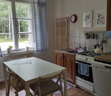 Lasowka Apartment | Leśna Polana