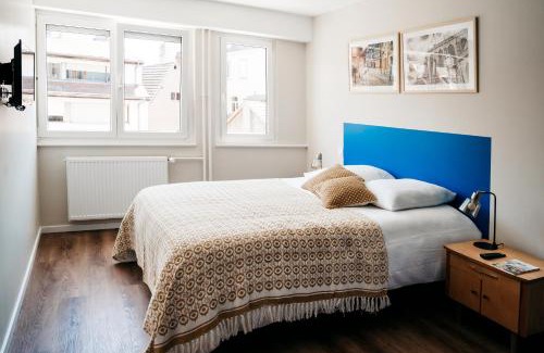 Colmar Centre Ville Apartment | LE 19 KLEBER climatisé