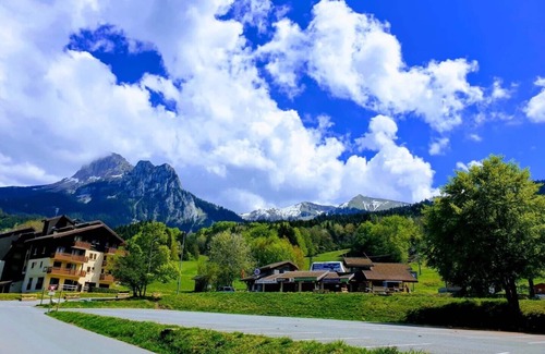 Bernex Apartment | Le 211-skiing and hiking -washing machine -WIFI-parking.