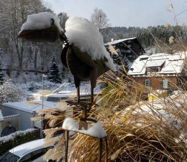 Alpirsbach House | Le Bain du Corbeau - Schwarzwald-Villa Alpirsbach