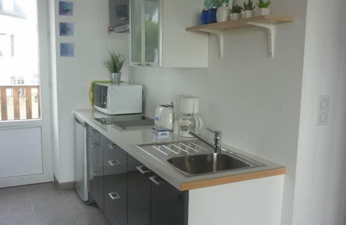 Morgat Apartment | LE BIGORNEAU IMPRENABLE VIEW of the MORGAT CROZON BEACH
