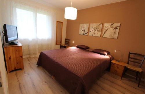 Chateau-d'Oex Apartment | Le Castel 1