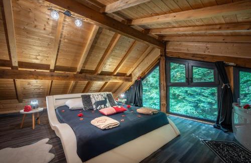 Renauvoid Ski Chalet | Le Chalet des Buch avec Spa