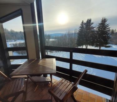 Les Rousses Apartment | LE CHALET DES SAPINS, Superbe Duplex avec belle vue, Au Coeur Des Rousses, Tout confort 5 pers, Draps inclus, parking gratuit