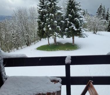 Les Rousses Apartment | LE CHALET DES SAPINS, Superbe Duplex avec belle vue, Au Coeur Des Rousses, Tout confort 5 pers, Draps inclus, parking gratuit