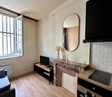 Dijon Centre Ville Apartment | Le Charmant Vannerie