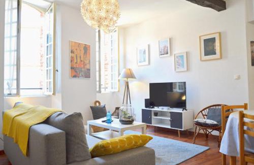 Albi Apartment | Le Chaud Vin - Centre historique Albi - Zone Unesco - Animaux acceptés