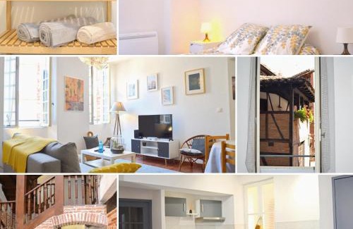 Albi Apartment | Le Chaud Vin - Centre historique Albi - Zone Unesco - Animaux acceptés