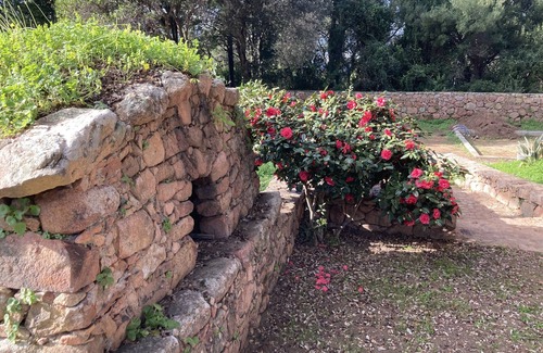 Cuttoli-Corticchiato House | Le Citronnier house with swimming pool for 4/6 pers