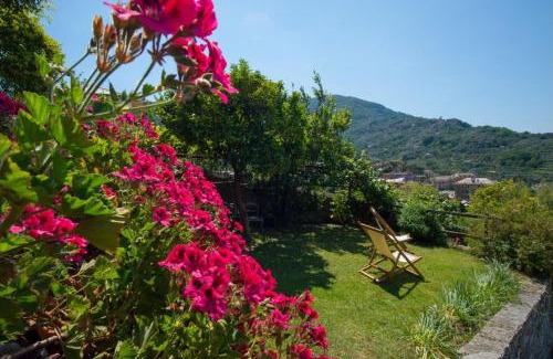 Camogli Bed & Breakfast | Le Clementine B&B