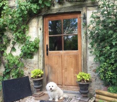 Fontaine-sur-Ay Bed & Breakfast | le Clos de la Livre