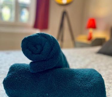 Faubourg Sud Apartment | LE CLOS DE SAINT JO - Dijon centre T3