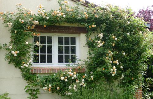 Cour-Cheverny Bed & Breakfast | Le Clos des Perraudières