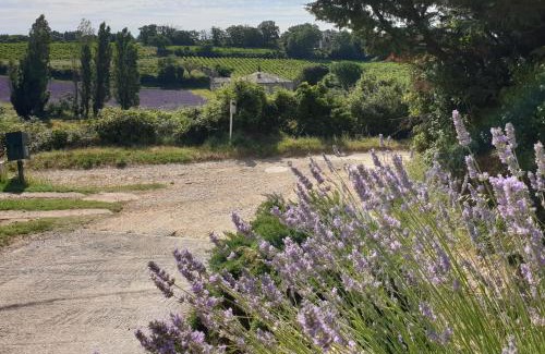 Saint-Marcel-d'Aredeche House | Le Clos du Grand Chêne - gîtes 4 étoiles -