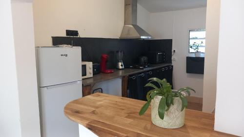 Centre Ville House | Le coco mango