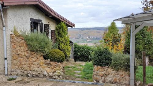 Dormans House | Le Coq de Champagne
